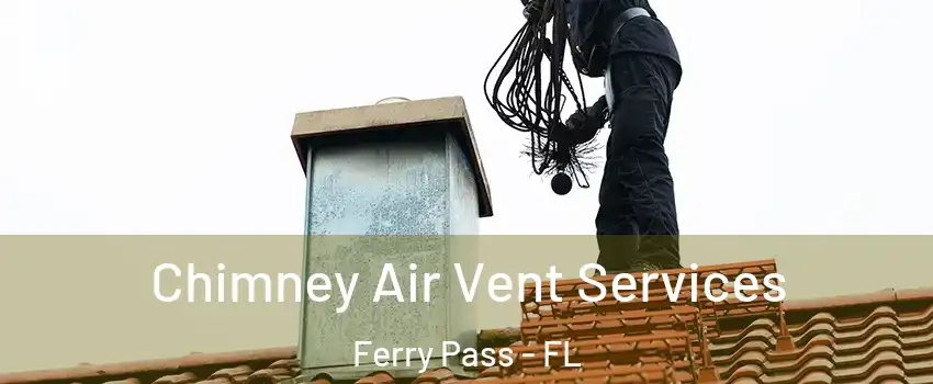  Chimney Air Vent Services Ferry Pass - FL