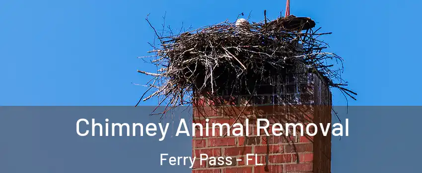  Chimney Animal Removal Ferry Pass - FL