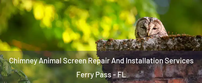 Chimney Animal Screen Repair And Installation Services Ferry Pass - FL