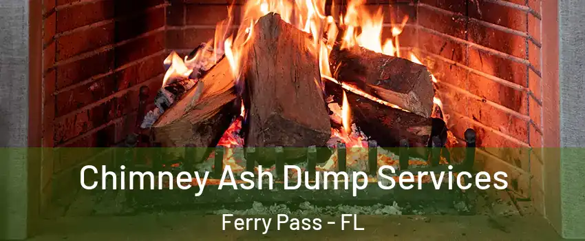 Chimney Ash Dump Services Ferry Pass - FL