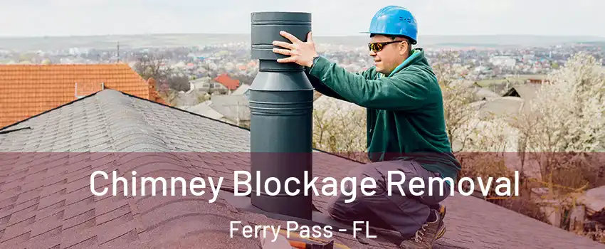 Chimney Blockage Removal Ferry Pass - FL