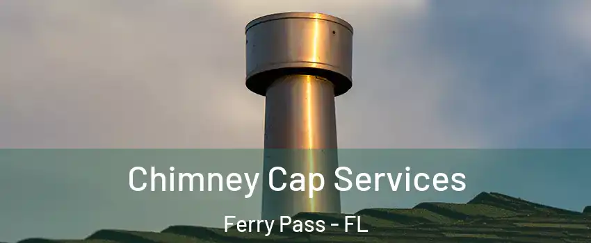  Chimney Cap Services Ferry Pass - FL