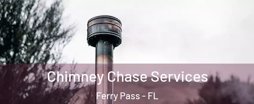  Chimney Chase Services Ferry Pass - FL