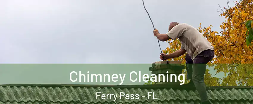  Chimney Cleaning Ferry Pass - FL