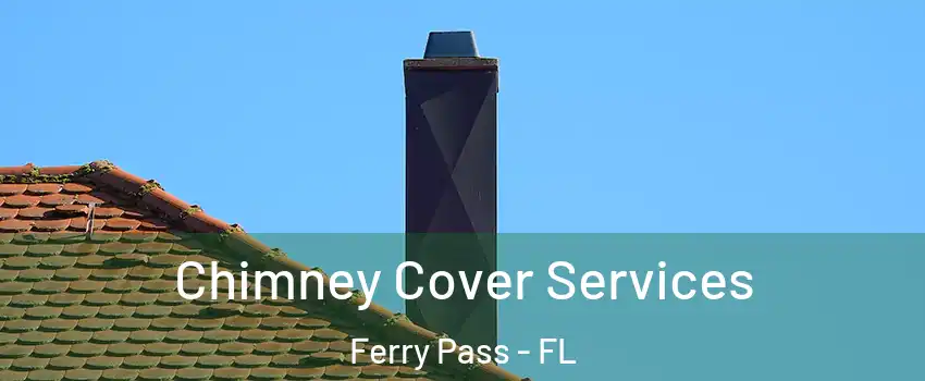  Chimney Cover Services Ferry Pass - FL