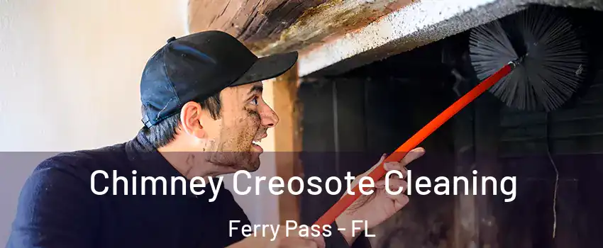  Chimney Creosote Cleaning Ferry Pass - FL