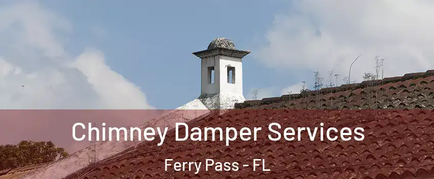  Chimney Damper Services Ferry Pass - FL