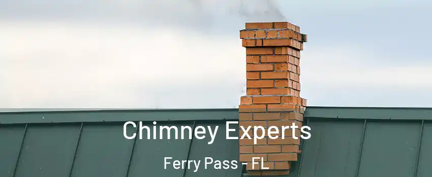 Chimney Experts Ferry Pass - FL