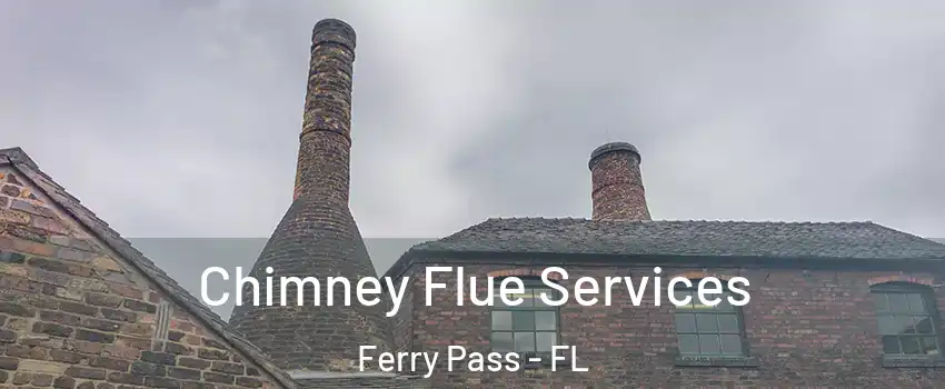  Chimney Flue Services Ferry Pass - FL
