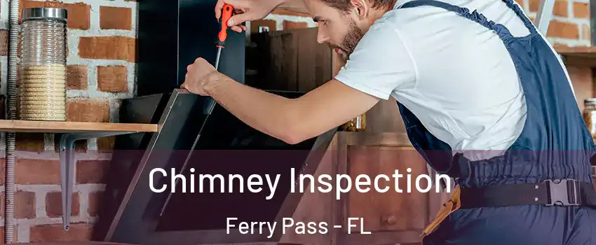  Chimney Inspection Ferry Pass - FL