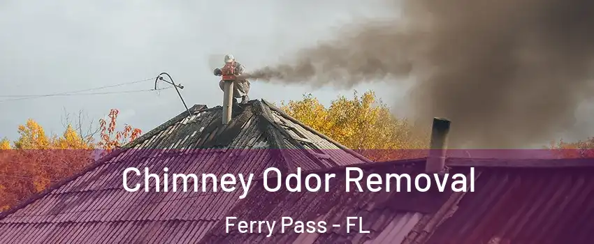  Chimney Odor Removal Ferry Pass - FL