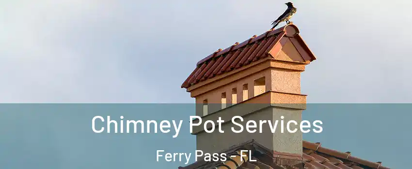  Chimney Pot Services Ferry Pass - FL