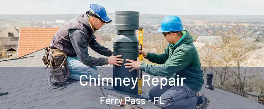  Chimney Repair Ferry Pass - FL