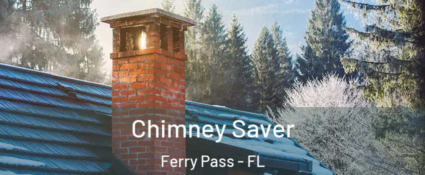  Chimney Saver Ferry Pass - FL