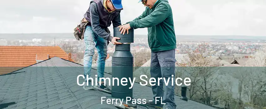  Chimney Service Ferry Pass - FL