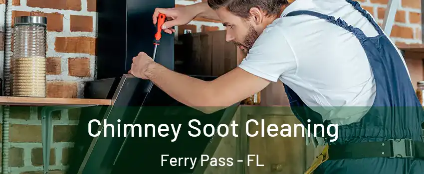  Chimney Soot Cleaning Ferry Pass - FL