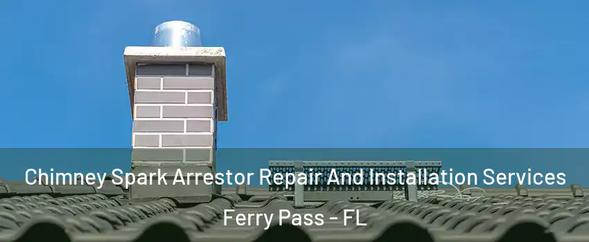  Chimney Spark Arrestor Repair And Installation Services Ferry Pass - FL