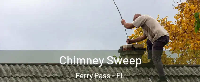  Chimney Sweep Ferry Pass - FL