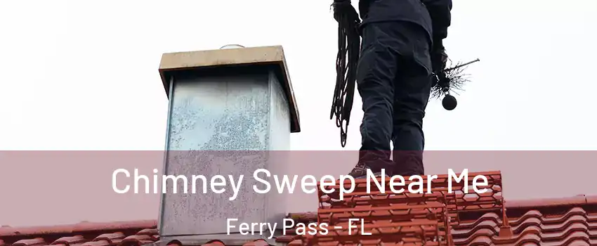  Chimney Sweep Near Me Ferry Pass - FL