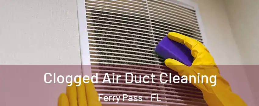  Clogged Air Duct Cleaning Ferry Pass - FL