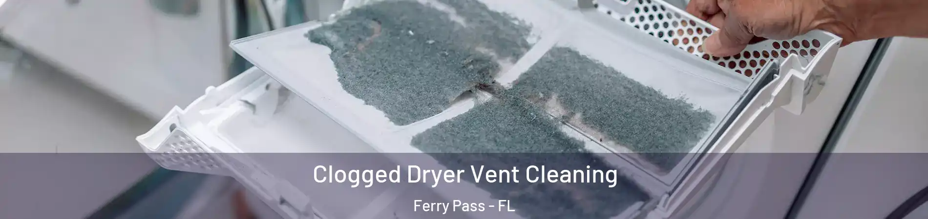  Clogged Dryer Vent Cleaning Ferry Pass - FL