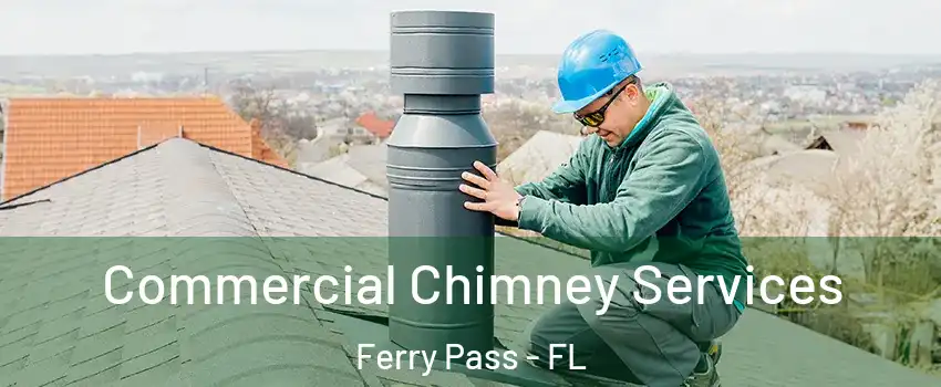  Commercial Chimney Services Ferry Pass - FL