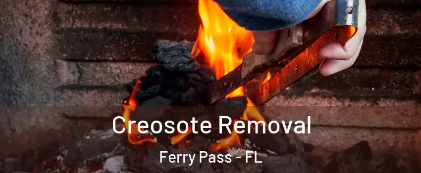  Creosote Removal Ferry Pass - FL