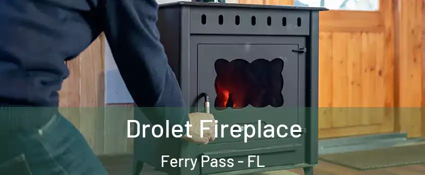  Drolet Fireplace Ferry Pass - FL