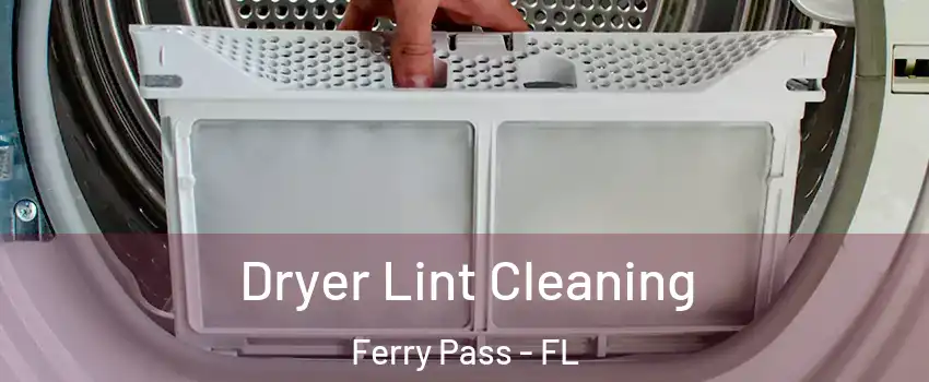  Dryer Lint Cleaning Ferry Pass - FL