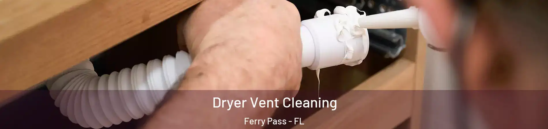  Dryer Vent Cleaning Ferry Pass - FL