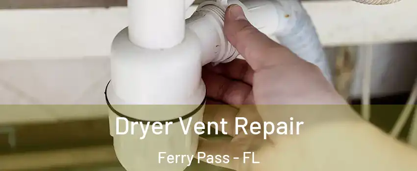  Dryer Vent Repair Ferry Pass - FL