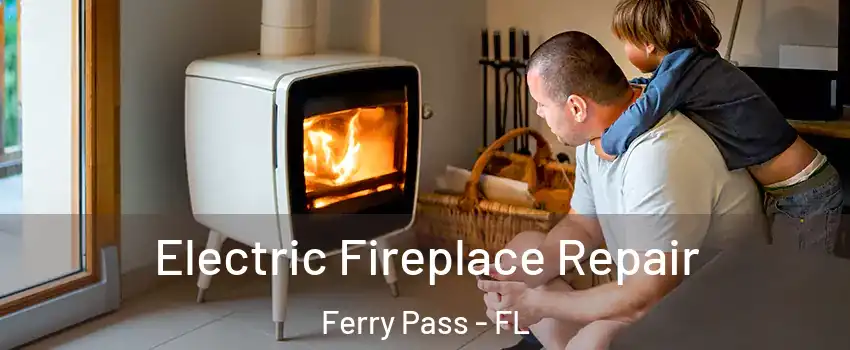  Electric Fireplace Repair Ferry Pass - FL
