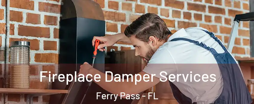  Fireplace Damper Services Ferry Pass - FL