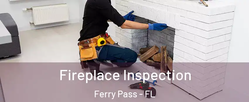  Fireplace Inspection Ferry Pass - FL