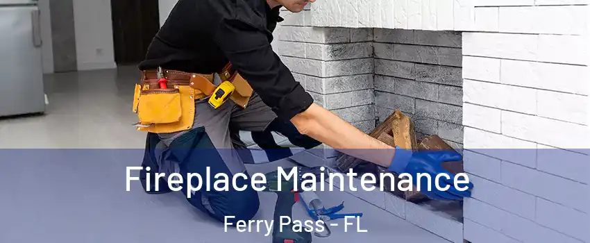  Fireplace Maintenance Ferry Pass - FL