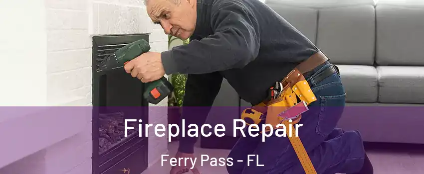  Fireplace Repair Ferry Pass - FL
