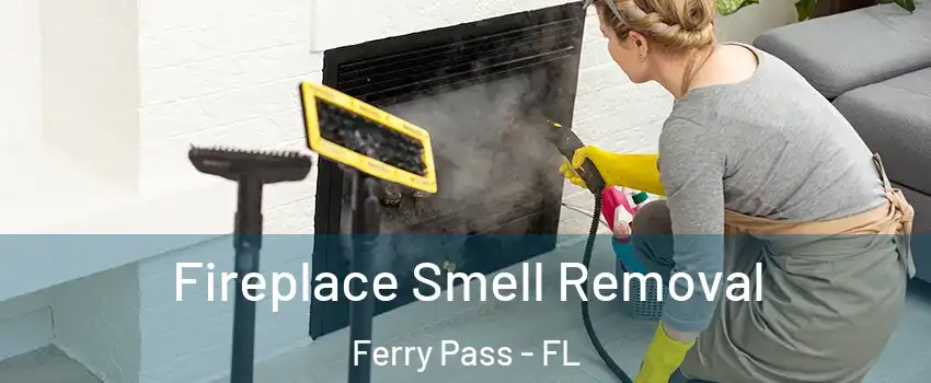  Fireplace Smell Removal Ferry Pass - FL