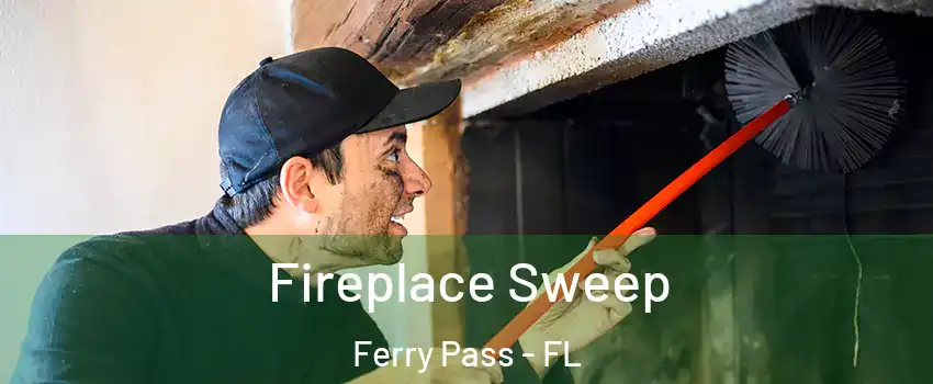  Fireplace Sweep Ferry Pass - FL