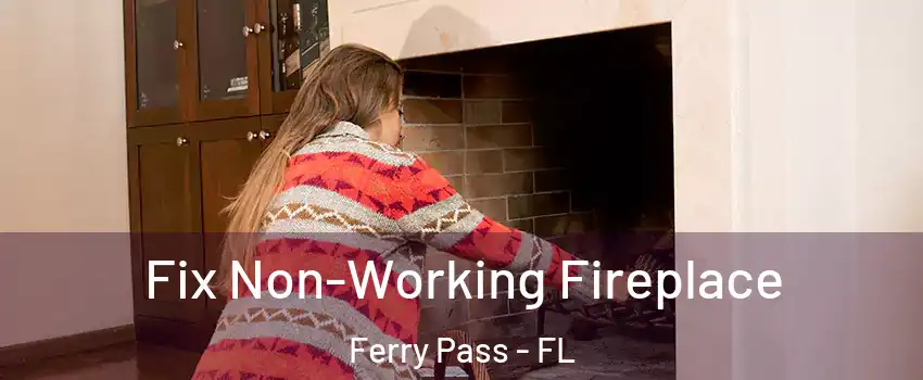 Fix Non-Working Fireplace Ferry Pass - FL