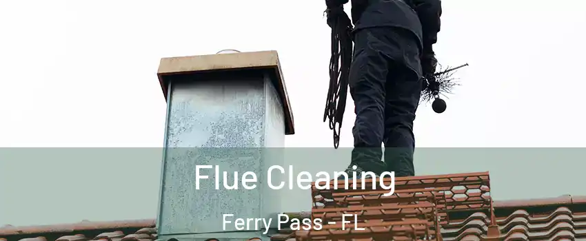  Flue Cleaning Ferry Pass - FL