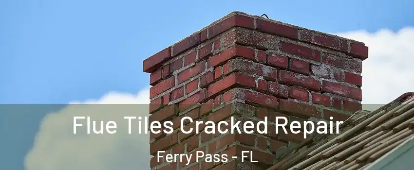  Flue Tiles Cracked Repair Ferry Pass - FL
