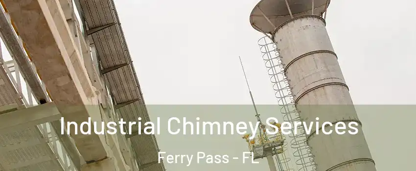  Industrial Chimney Services Ferry Pass - FL
