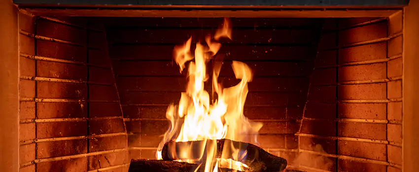 Soot Cleanup Services in Ferry Pass, FL