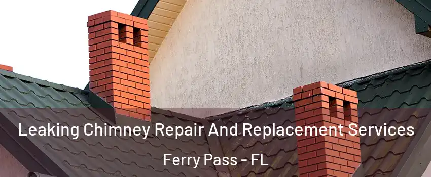  Leaking Chimney Repair And Replacement Services Ferry Pass - FL