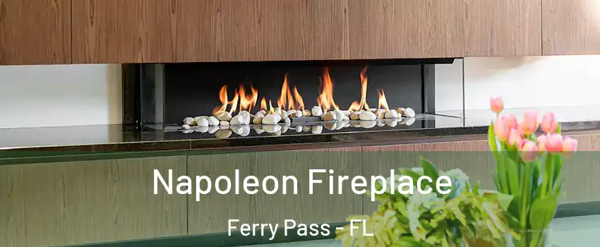 Napoleon Fireplace Ferry Pass - FL