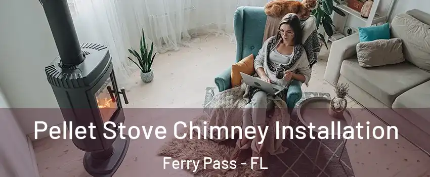  Pellet Stove Chimney Installation Ferry Pass - FL