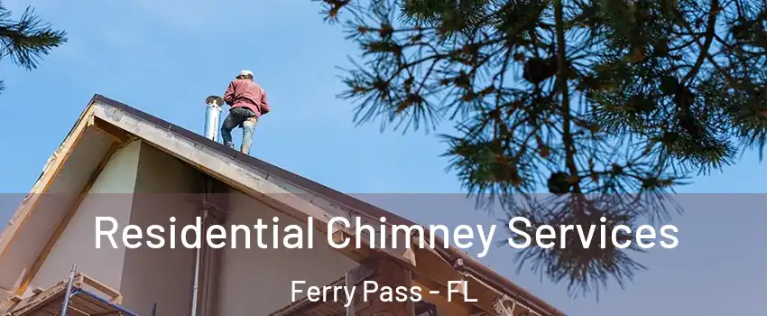  Residential Chimney Services Ferry Pass - FL
