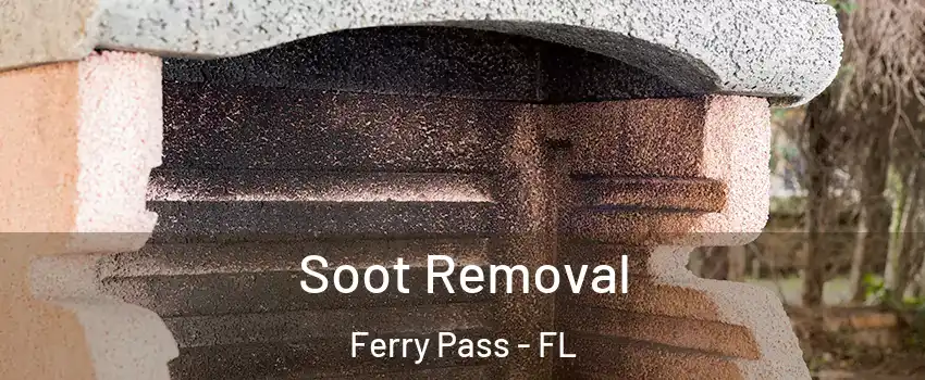  Soot Removal Ferry Pass - FL