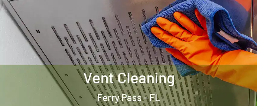  Vent Cleaning Ferry Pass - FL