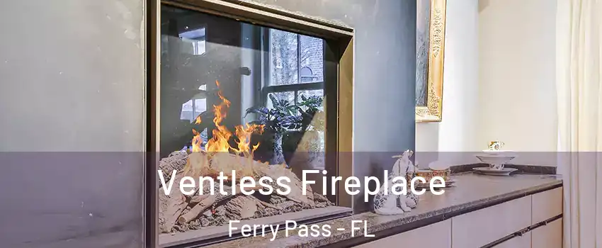  Ventless Fireplace Ferry Pass - FL
